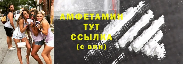 мет Алексин