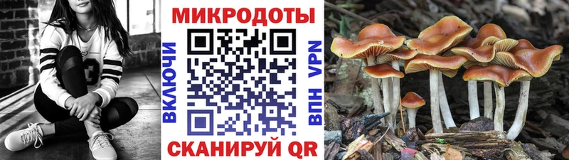 Галлюциногенные грибы Magic Shrooms  Находка 
