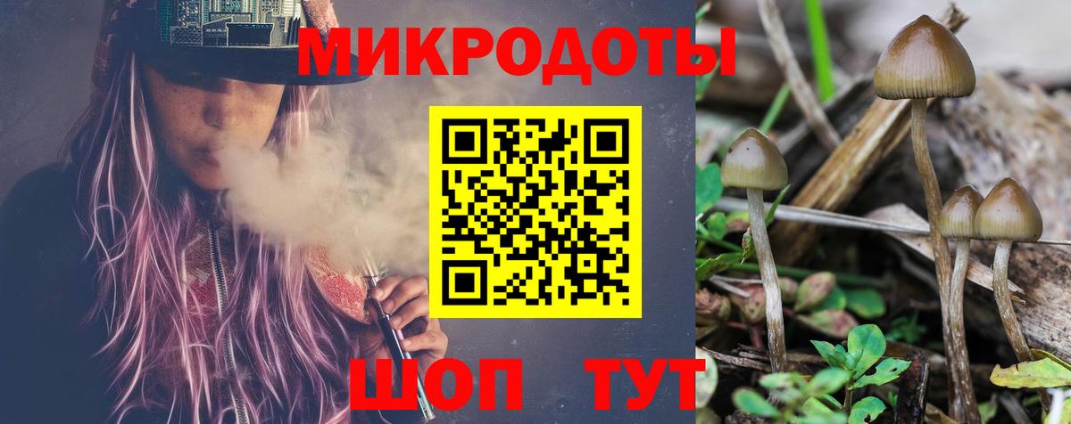 Галлюциногенные грибы мицелий  Вход с VPN  Находка  Галлюциногенные грибы прущие грибы 