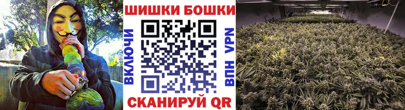 наркотики  Находка  Канабис SATIVA & INDICA 